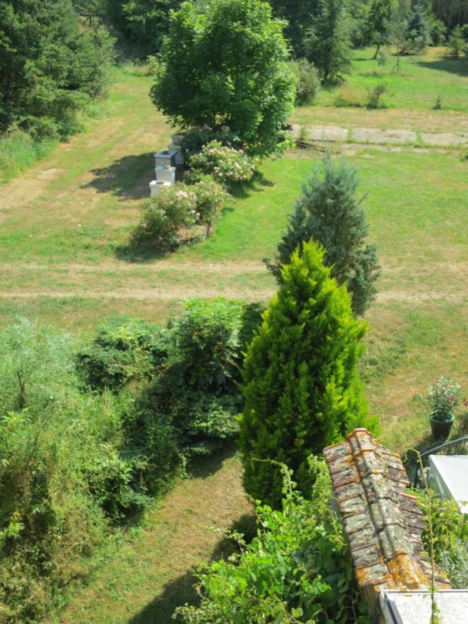 Chambres d'hôtes du Moulin de la Chaussee Saint-Denis-d'Orques Exterior foto